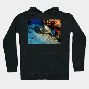 Hawksbill Turtle Under A Coral Ledge Hoodie